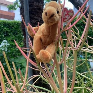 Ty Niles the Camel 🐪 Beanie baby #16